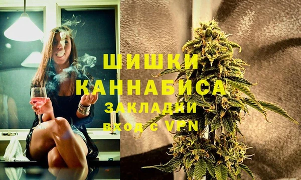 шишки Алагир