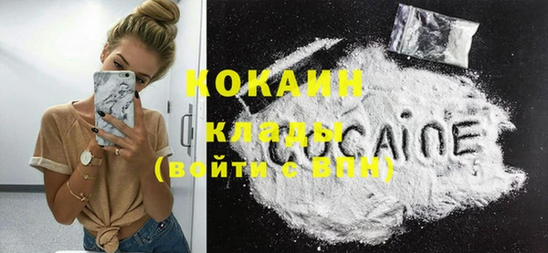 шишки Алагир